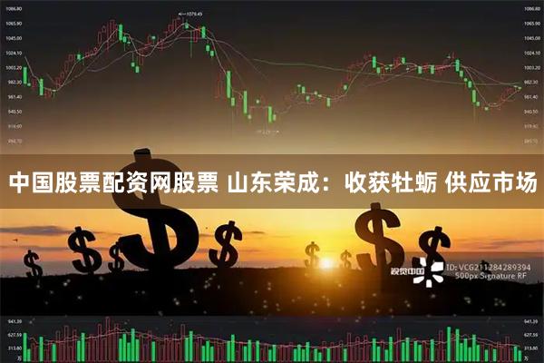 中国股票配资网股票 山东荣成：收获牡蛎 供应市场