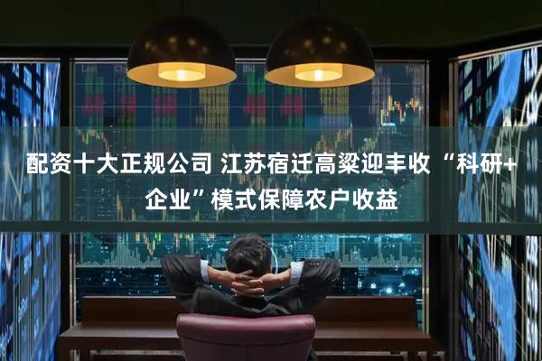 配资十大正规公司 江苏宿迁高粱迎丰收 “科研+企业”模式保障农户收益