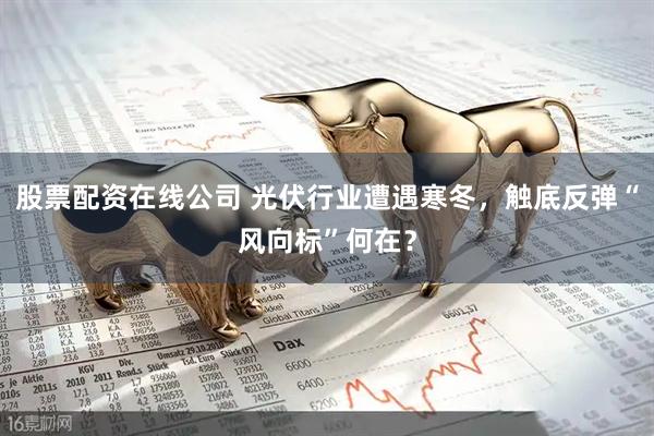 股票配资在线公司 光伏行业遭遇寒冬，触底反弹“风向标”何在？